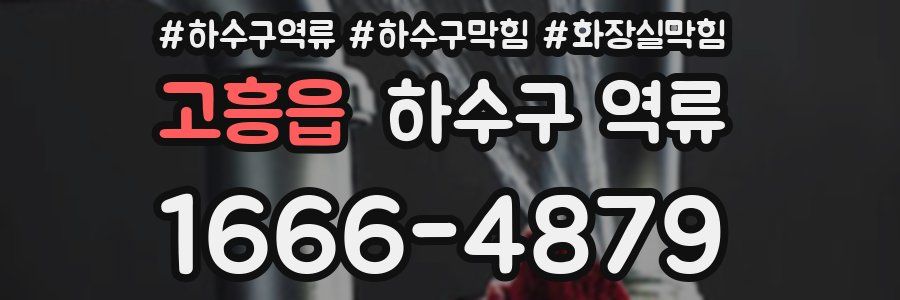 고흥읍 하수구 역류