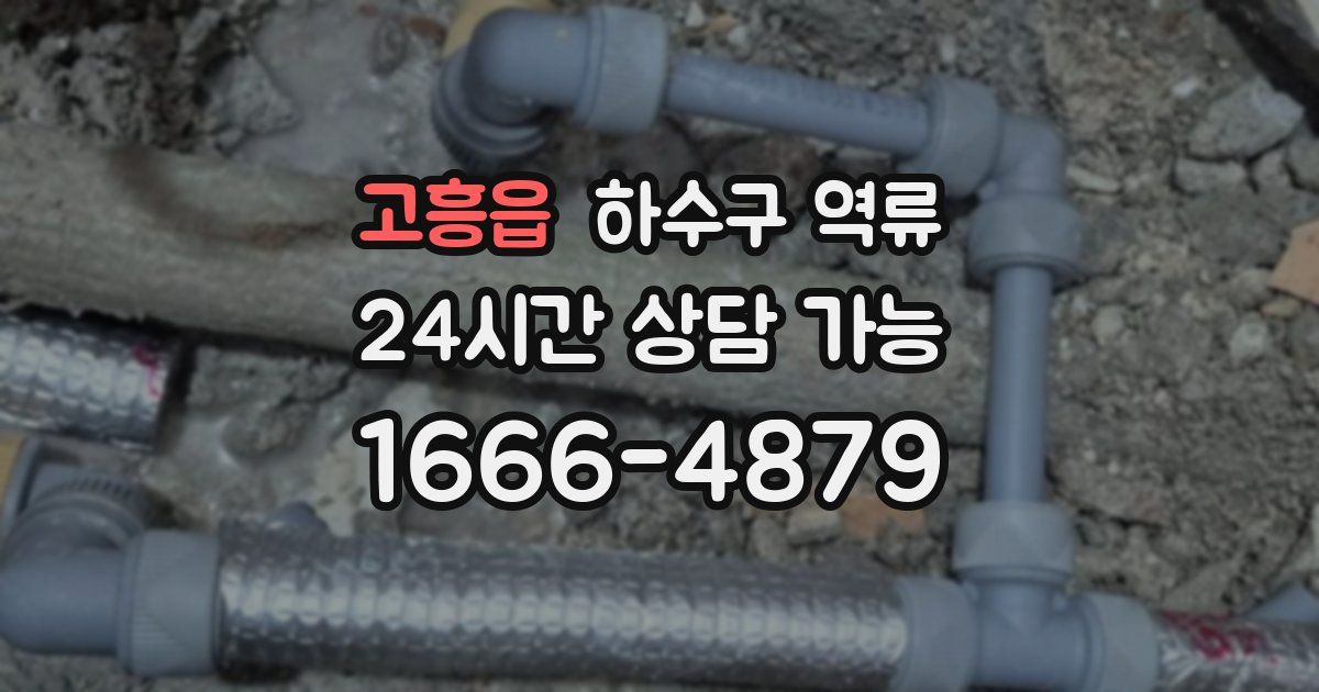 고흥읍 하수구 역류