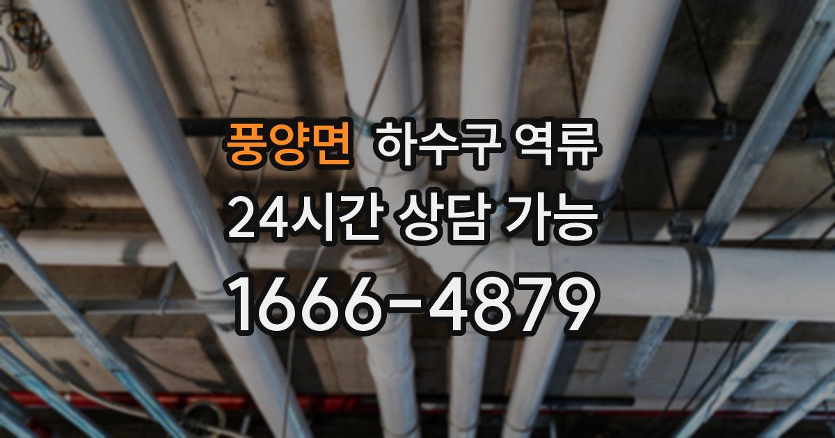 풍양면 하수구 역류