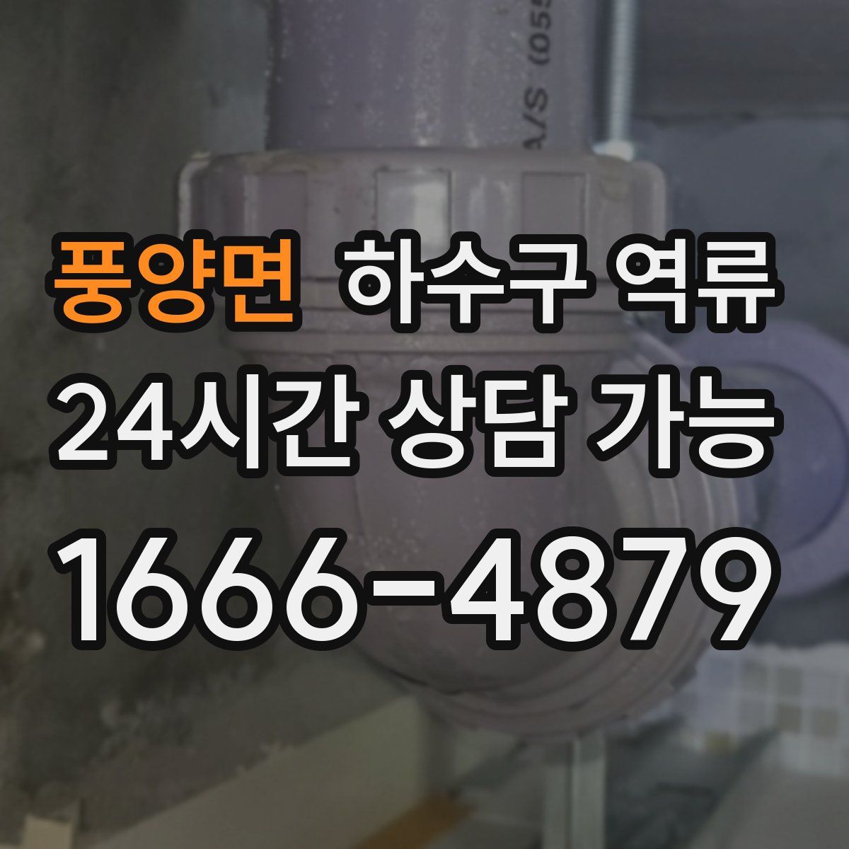 풍양면 하수구 역류