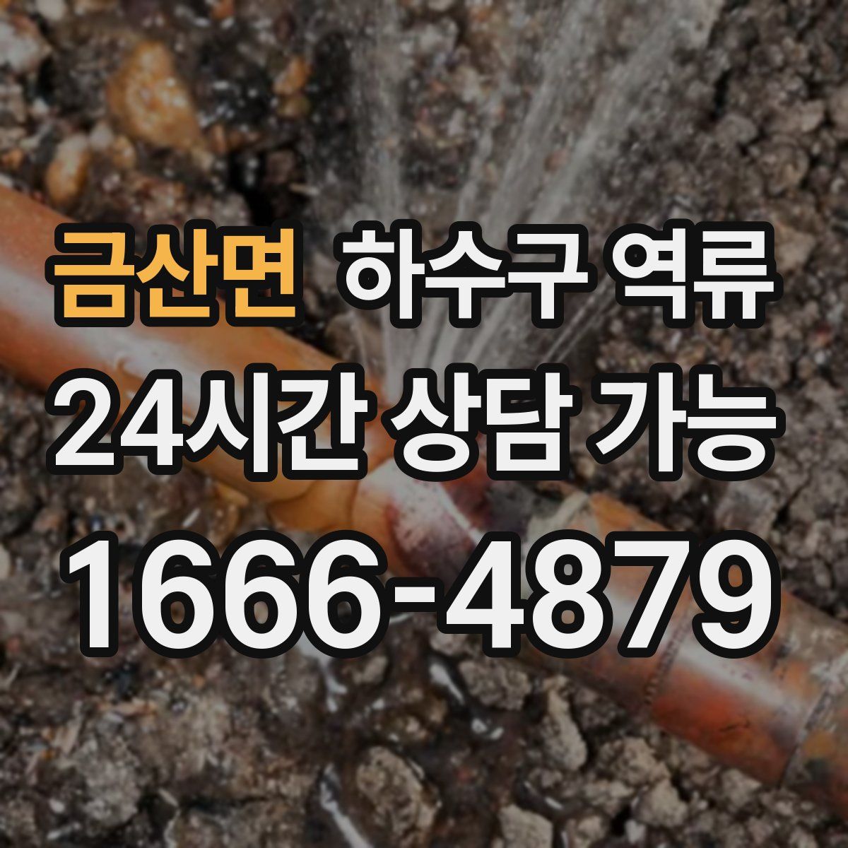 금산면 하수구 역류