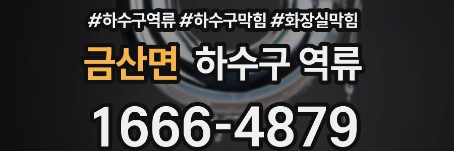 금산면 하수구 역류