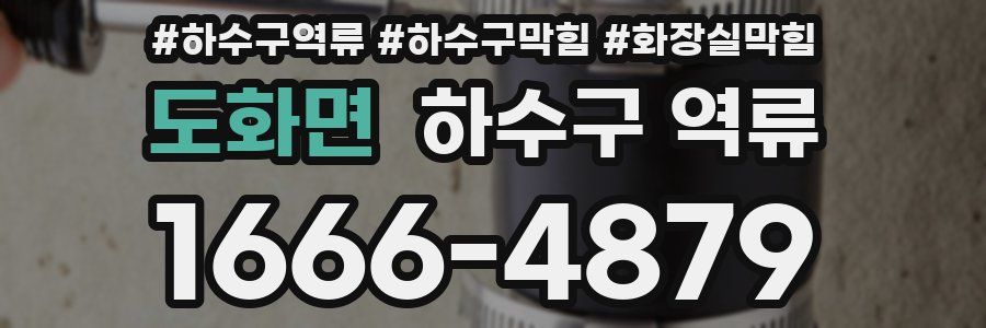 도화면 하수구 역류