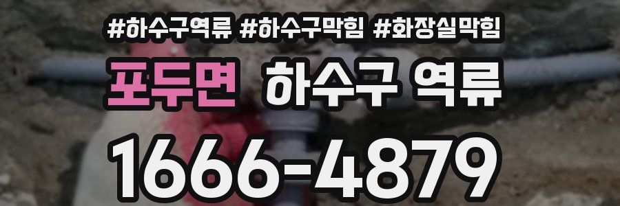 포두면 하수구 역류
