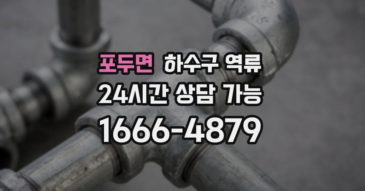 포두면 하수구 역류