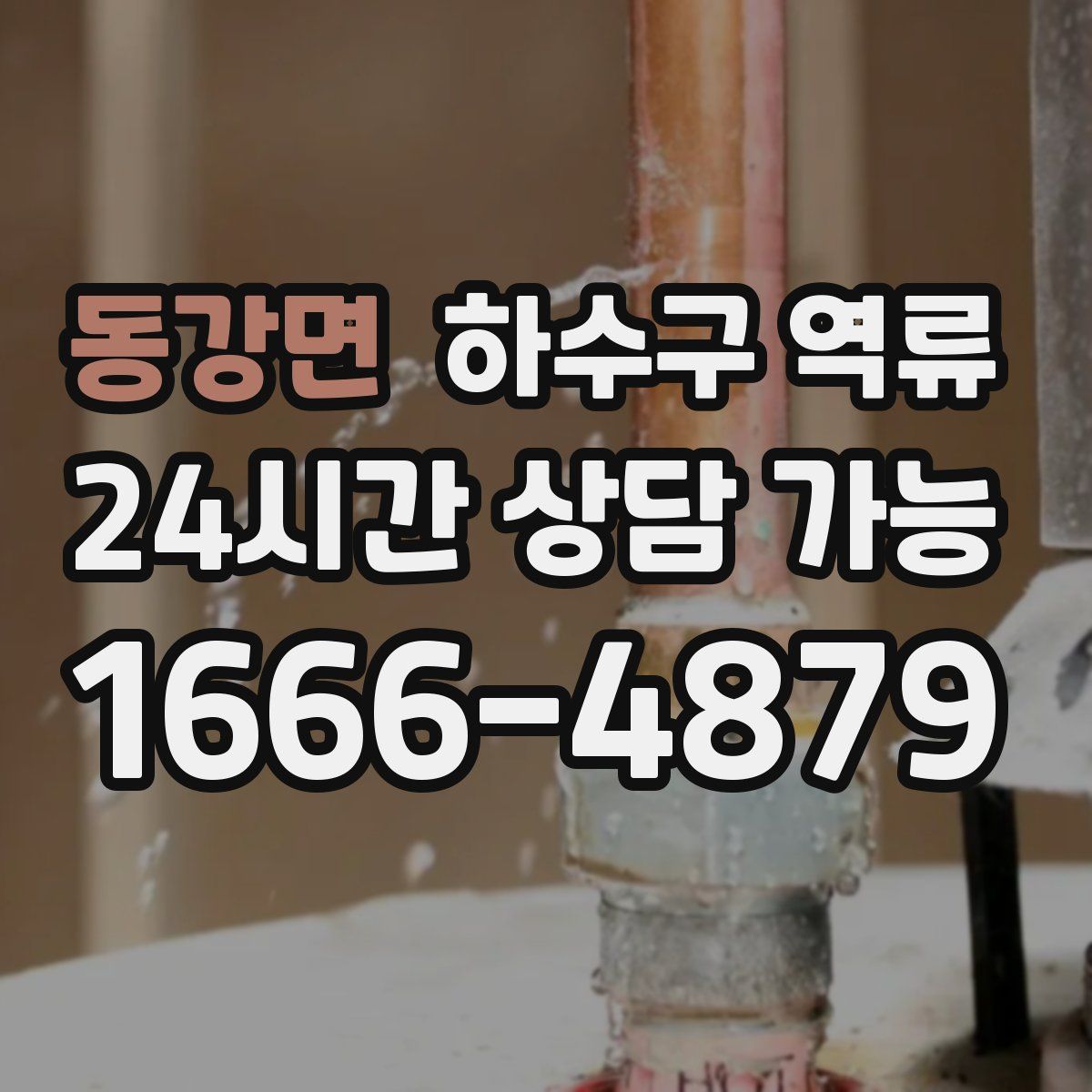 동강면 하수구 역류