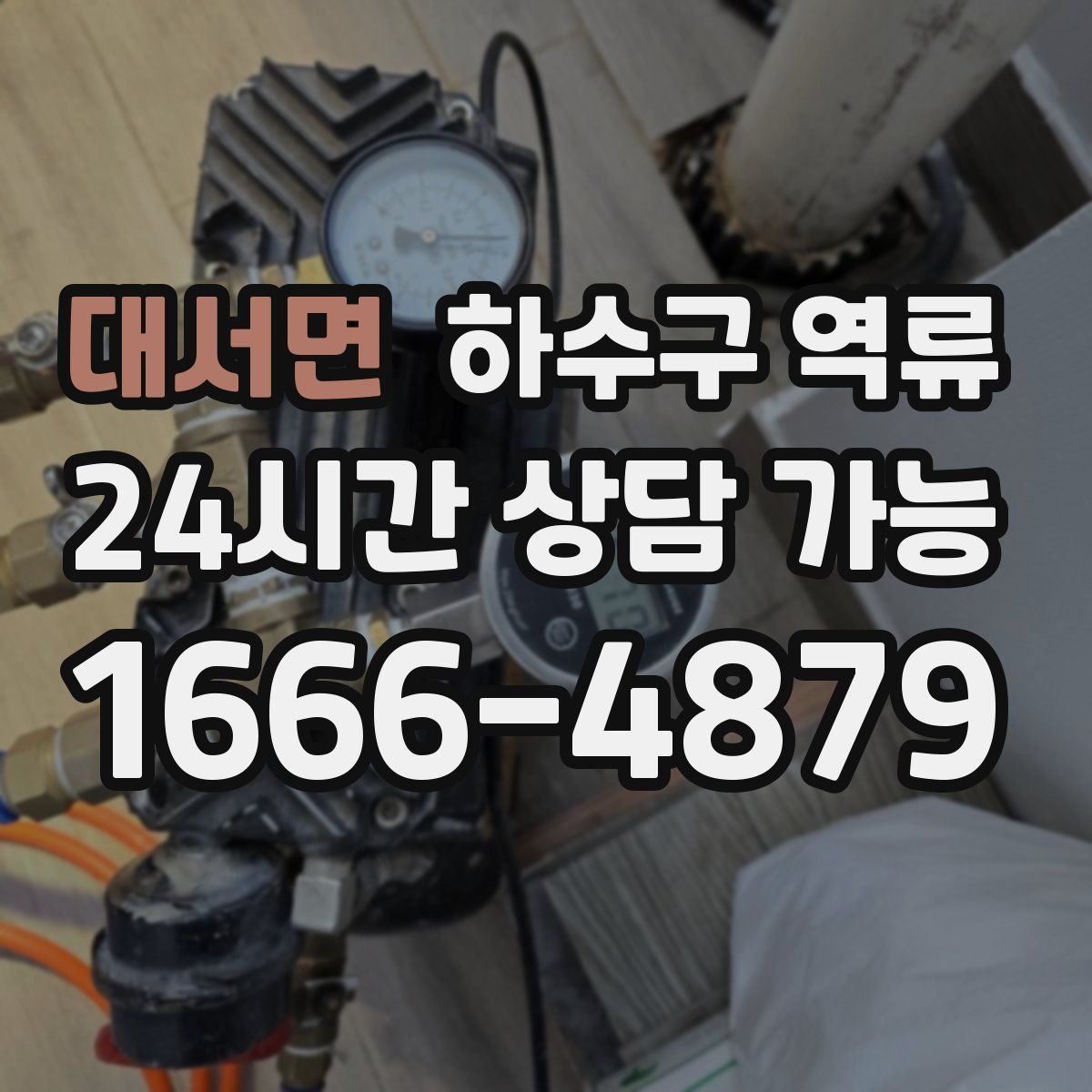 대서면 하수구 역류