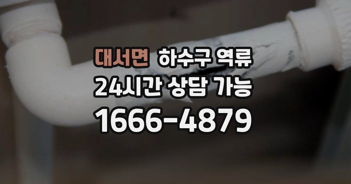 대서면 하수구 역류