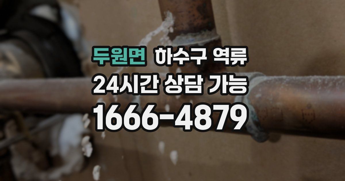 두원면 하수구 역류