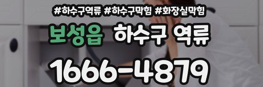 보성읍 하수구 역류