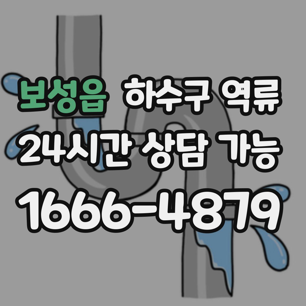 보성읍 하수구 역류