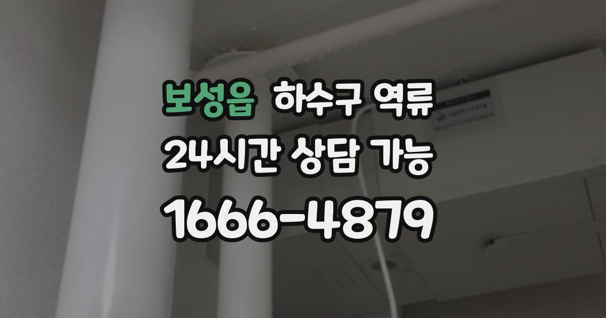 보성읍 하수구 역류