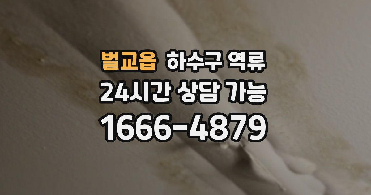 벌교읍 하수구 역류