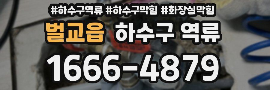 벌교읍 하수구 역류