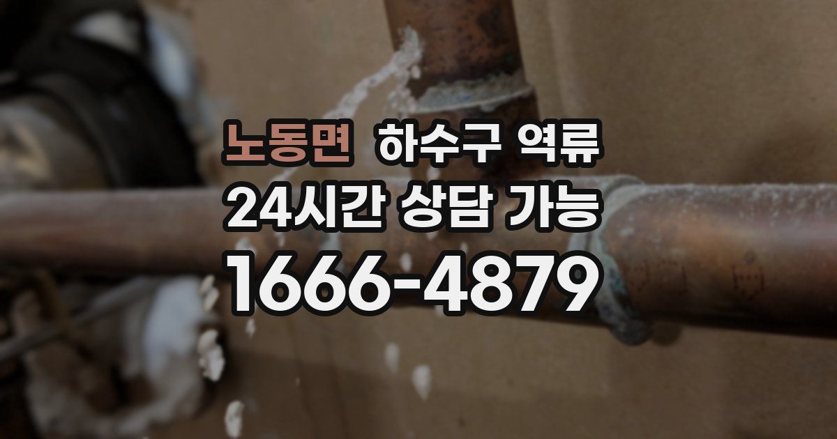 노동면 하수구 역류