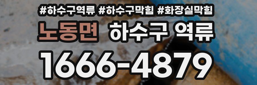 노동면 하수구 역류