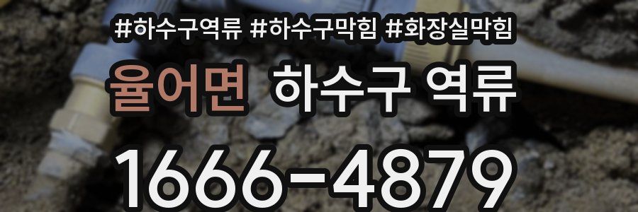 율어면 하수구 역류
