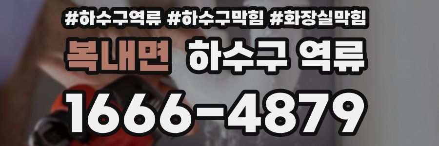 복내면 하수구 역류