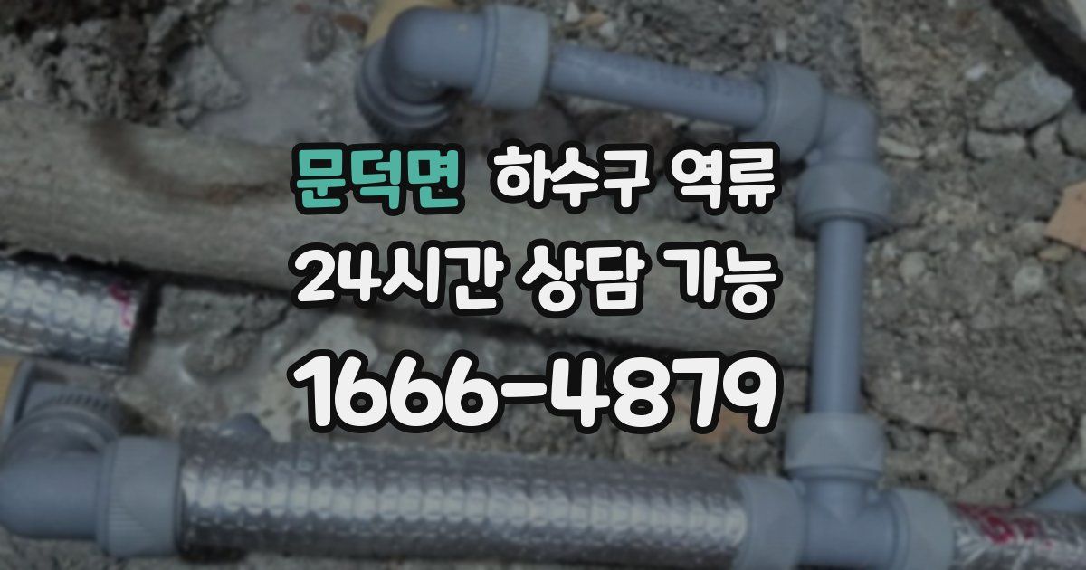 문덕면 하수구 역류