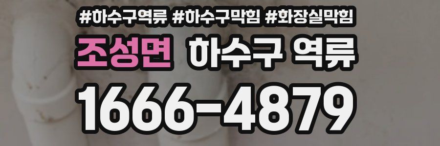 조성면 하수구 역류