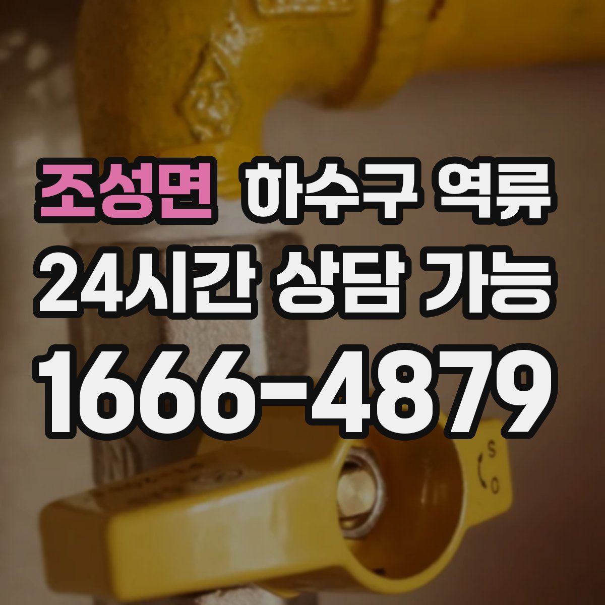 조성면 하수구 역류