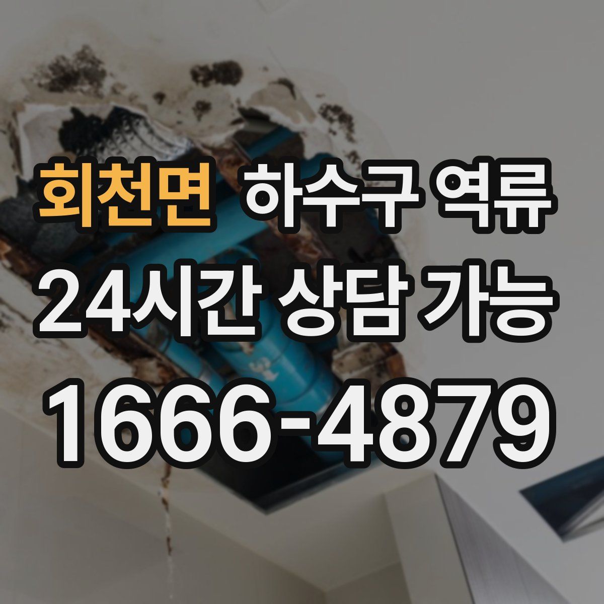 회천면 하수구 역류