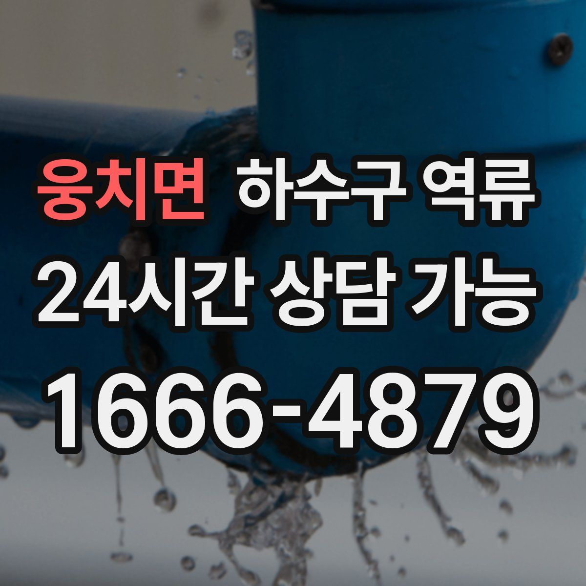 웅치면 하수구 역류