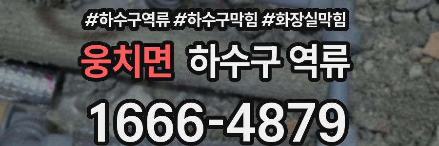 웅치면 하수구 역류