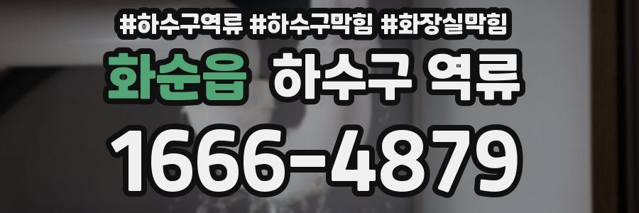 화순읍 하수구 역류