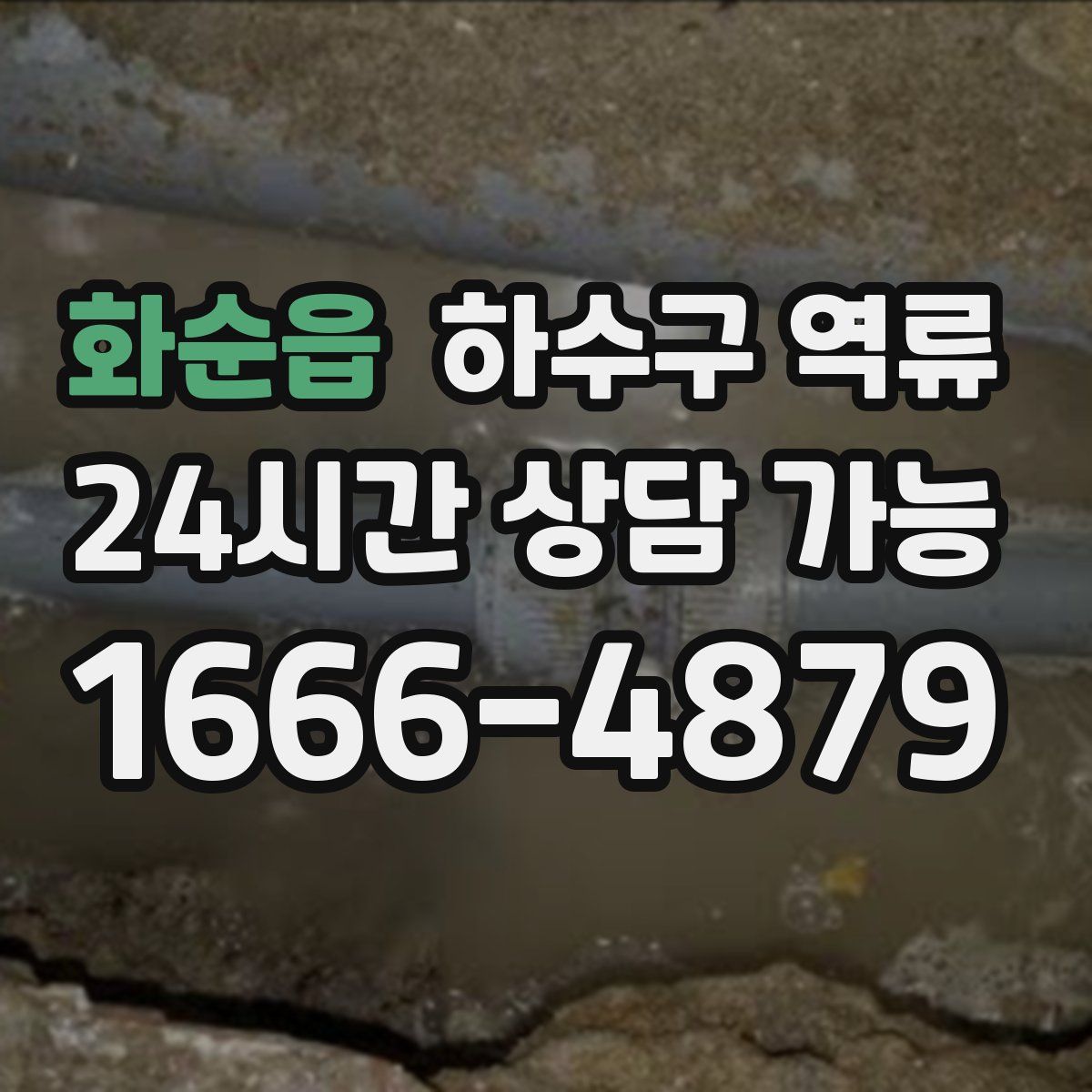 화순읍 하수구 역류