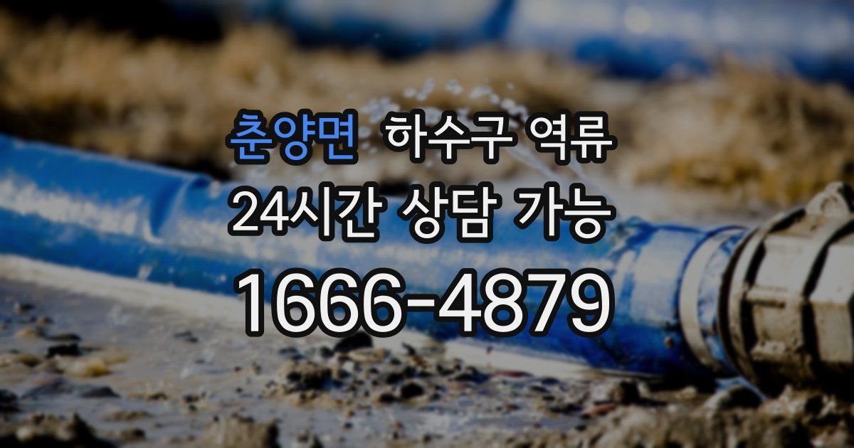 춘양면 하수구 역류