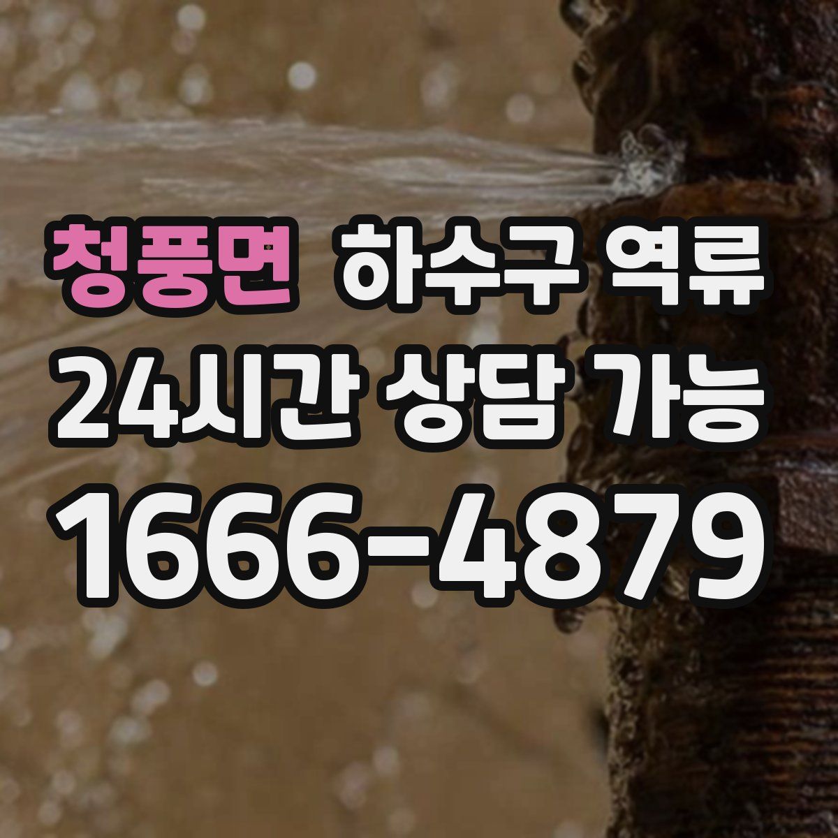 청풍면 하수구 역류