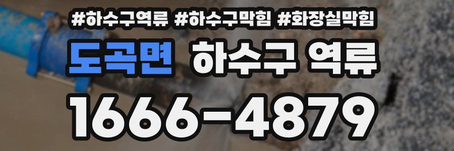 도곡면 하수구 역류