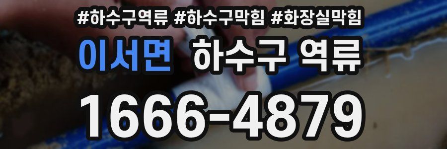 이서면 하수구 역류