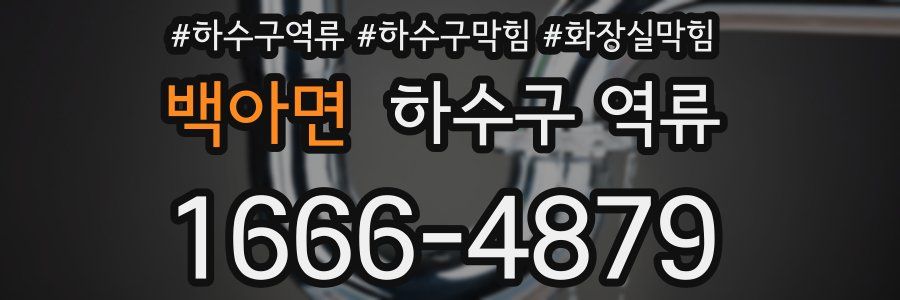 백아면 하수구 역류