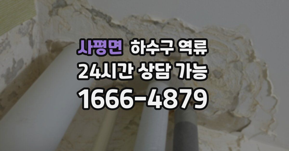 사평면 하수구 역류