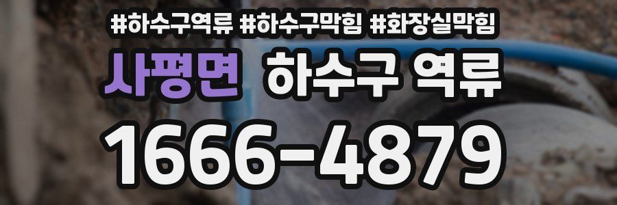 사평면 하수구 역류