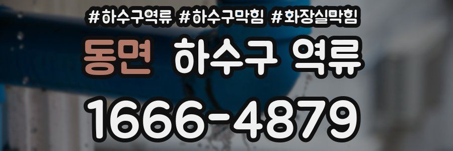 동면 하수구 역류