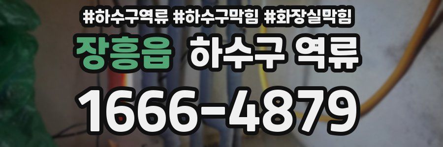 장흥읍 하수구 역류