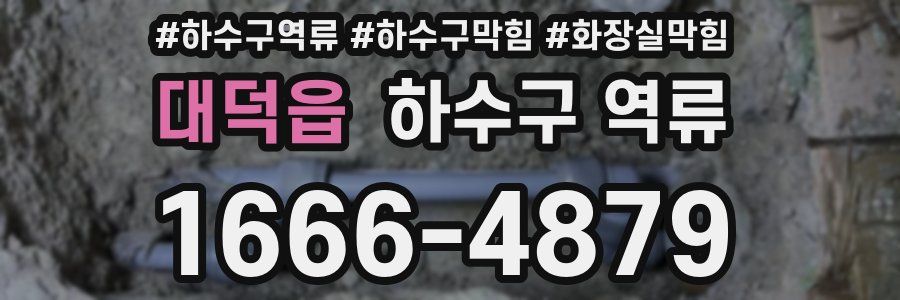 대덕읍 하수구 역류