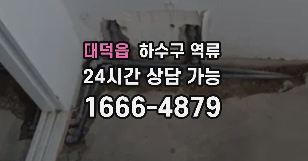 대덕읍 하수구 역류