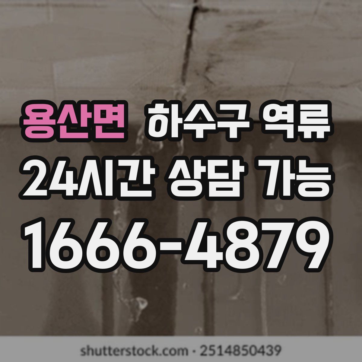 용산면 하수구 역류