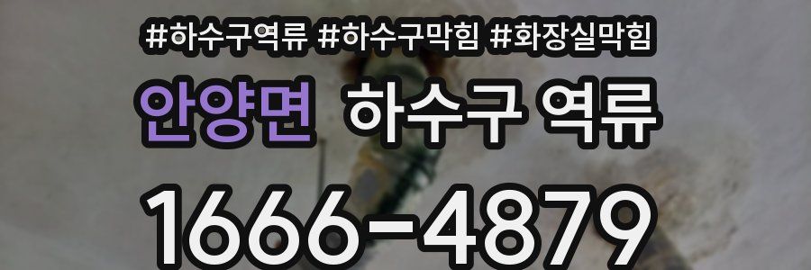 안양면 하수구 역류