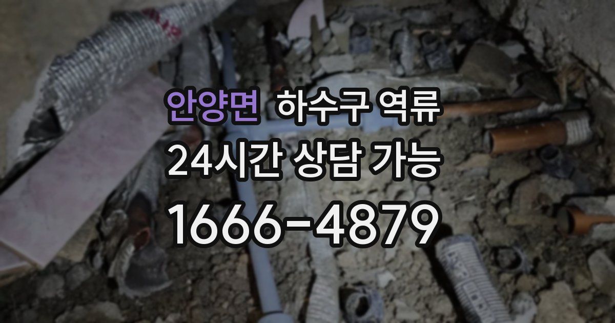 안양면 하수구 역류