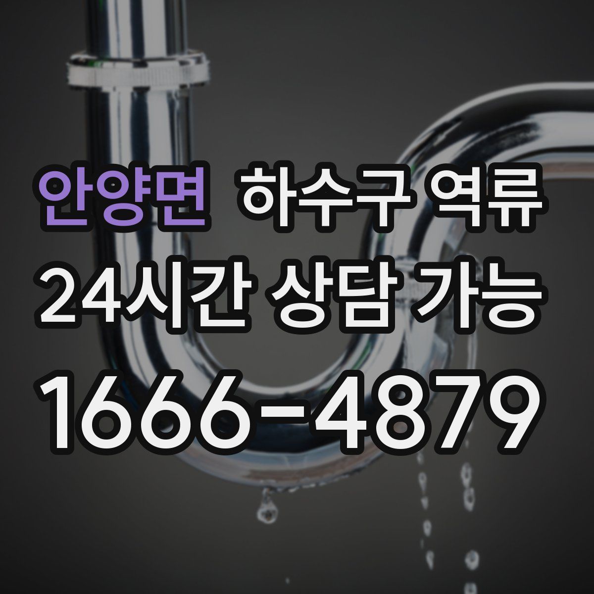 안양면 하수구 역류