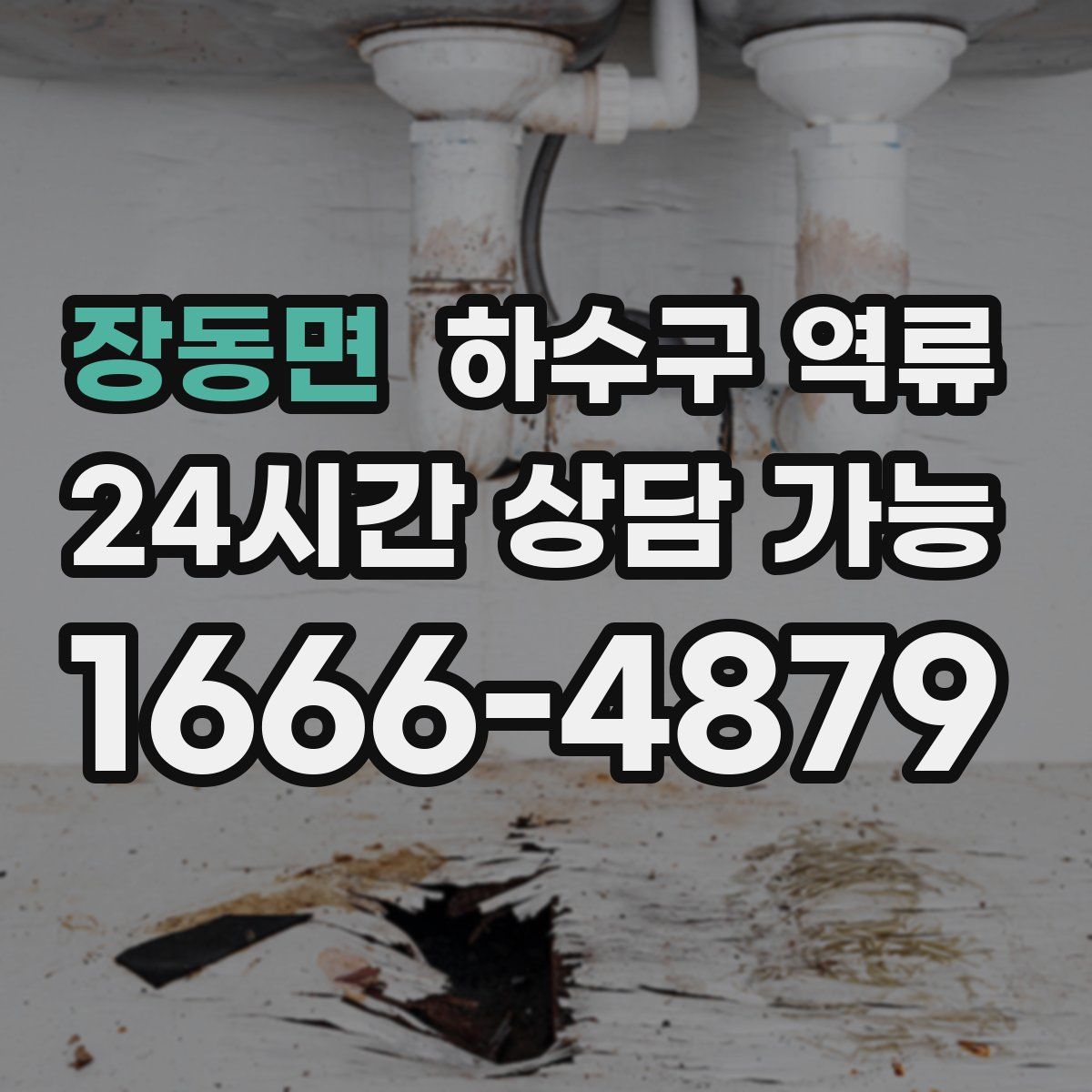 장동면 하수구 역류