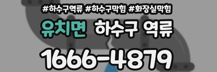 유치면 하수구 역류