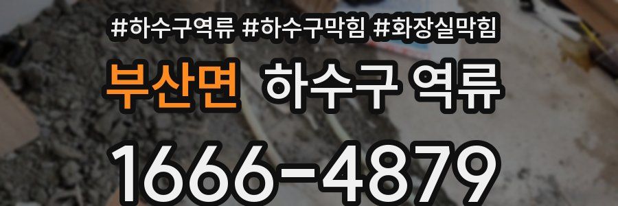 부산면 하수구 역류