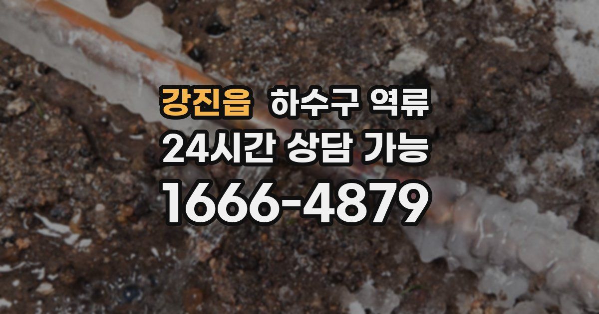 강진읍 하수구 역류