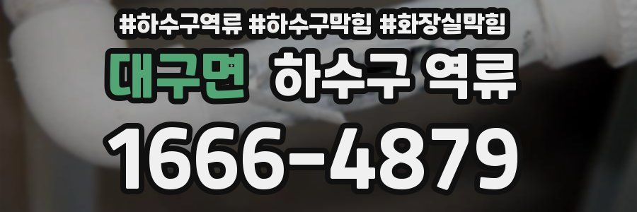 대구면 하수구 역류